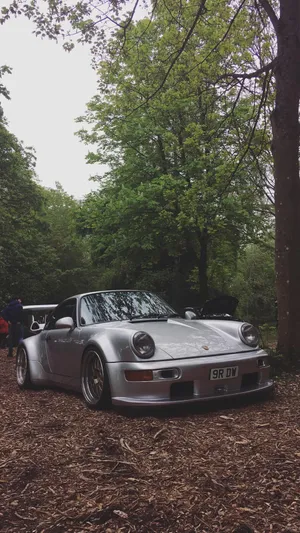 R W B Porschein Forest Setting Wallpaper