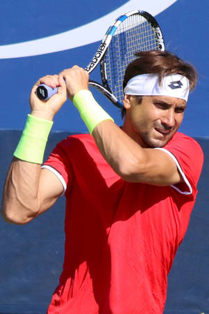 Racket Over Shoulder David Ferrer Wallpaper