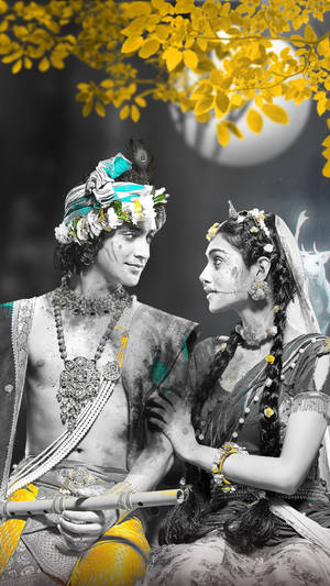 Radha Krishna Serial Gold Wallpaper