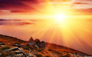 Radiant Morning Sun Wallpaper