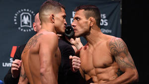 Rafael Dos Anjos And Anthony Pettis Staredown Wallpaper