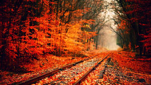 Railway Fall Desktop Wallpaper