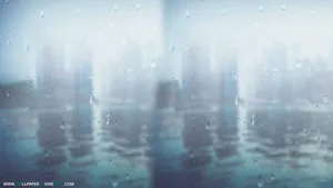 Rain Drops Wallpaper Engine Free. Free Wallpaper