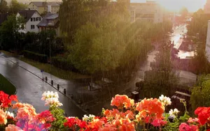Rain, Heavy Rain, Flowers, Street, Balcony, Height, Wet Wallpaper