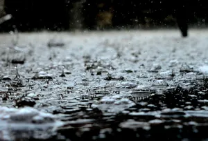 Rain Nature Raindrops Wallpaper