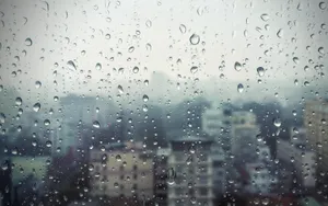 Rain Wallpaper Wallpaper
