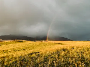 Rainbow In Field Wallpaper