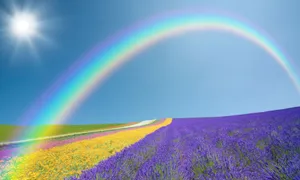 Rainbow In Sky Wallpaper