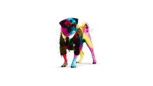 Rainbow Pug Dog Art Wallpaper