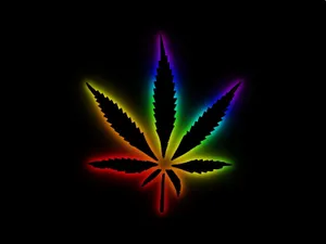 Rainbow Weed Leaf Wallpaper