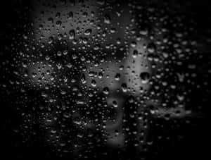 Raindropson Glass Blackand White Wallpaper