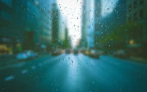 Rainy Day Atmosphere Wallpaper