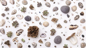 Random Sea Collections Aesthetic Mac Wallpaper