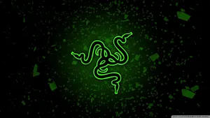Razer Chroma Green Wallpaper