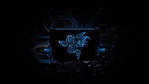 Razer Connection 4k Wallpaper