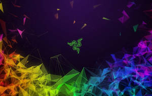 Razer Logo Rgb Polygon Wallpaper