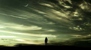 Reaching New Heights As A Loner Wallpaper