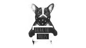 Rebel Dog Art Wallpaper