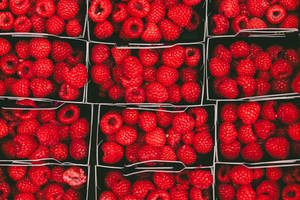 Red Bunch Of Raspberries Wallpaper