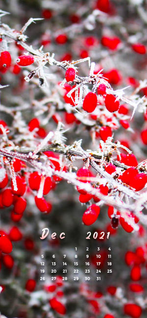 Red Cherries December 2021 Calendar Wallpaper
