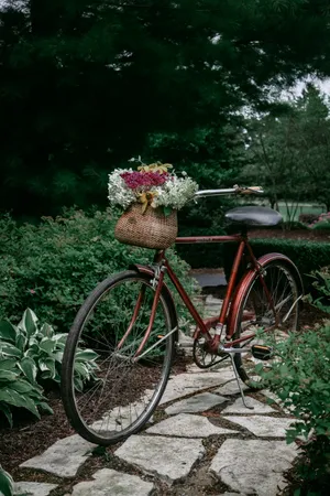 Red City Bike In Pathway Wallpaper