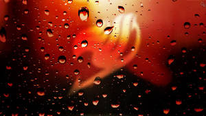 Red Fairy Tail Symbol Wallpaper