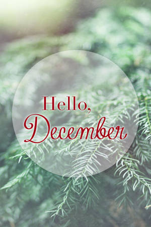 Red Hello December Wallpaper