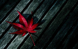 Red Leaf Themed Weed Aesthetics Wallpaper