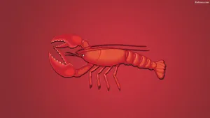 Red Lobster Illustration Wallpaper