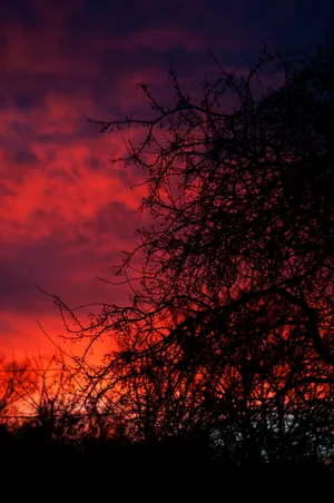 Red Orange Sunset Wallpaper