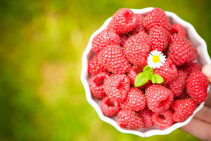 Red Raspberries And Daisy Flower Wallpaper