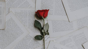 Red Rose Aesthetic Book Desktop Wallpaper