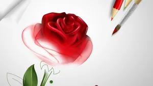 Red Rose Illustration On Progress Wallpaper