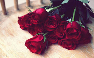 Red Rose Image . Stock Flower Image. Rose Wallpaper