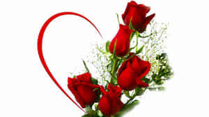 Red Roses Love Heart H D Wallpaper