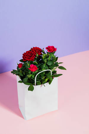 Red Roses White Paper Bag Wallpaper