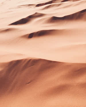 Red Velvet Sand Dunes Wallpaper