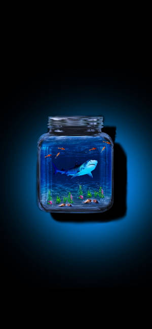 Redmi Note 10 Shark In A Jar Wallpaper