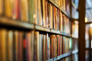 Reference Books On Library Shelf Wallpaper