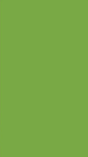 Refined Light Green Plain Wallpaper