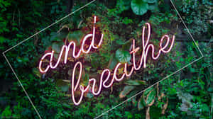 Refresh Your Desktop With A Green Aesthetic! Wallpaper