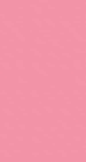 Refresh Your Space With Simple Pink Wallpaper