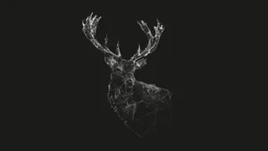 Reindeer Graphic Art Background Black Wallpaper