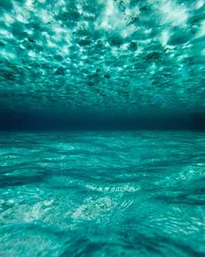 Relax And Recharge In The Beautiful Blue Ocean Of Maldives Wallpaper