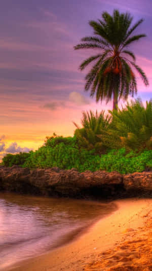 Relax At The Beach With Your Iphone Wallpaper