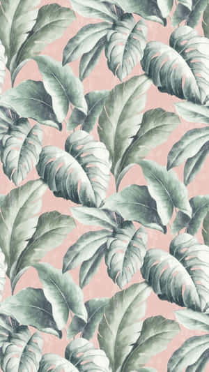 Relax In Paradise With Stunning Views Of Aesthetic Tropical Wallpaper