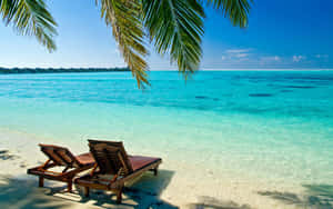 Relaxing Days At Caribbean Beach Wallpaper