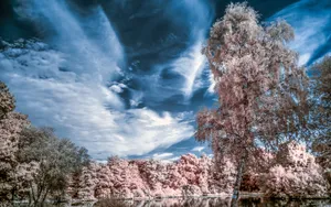 Relaxing Spring Season 4k Sky Wallpaper