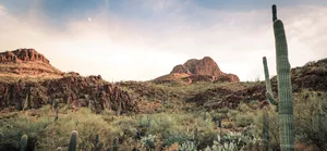 Relaxing Tucson Landscape View Wallpaper