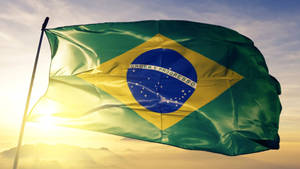 Remarkable Brazil Flag View Wallpaper